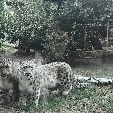 Vista Mare A 10m Dalla Spiaggia, 8 Piano E Parcheggio Privato