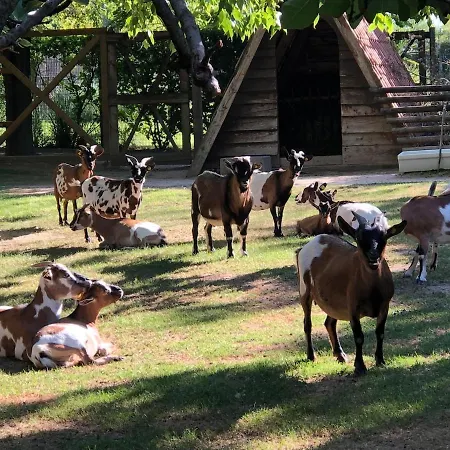 Vista Mare A 10m Dalla Spiaggia, 8 Piano E Parcheggio Privato *